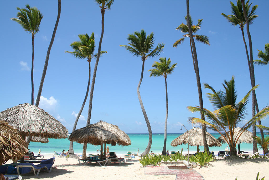 experiencia en Punta Cana